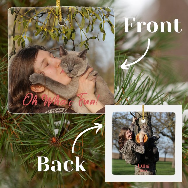 Oh What Fun Funny Pet Christmas  Ceramic Ornament (Creator Uploaded)