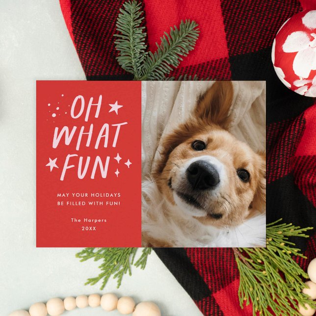 Oh What Fun Pets Photo Christmas Red Holiday Card (oh what fun pet christmas card)