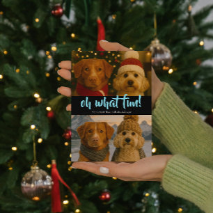 Oh What Fun Photo Christmas Personalised Holiday Card