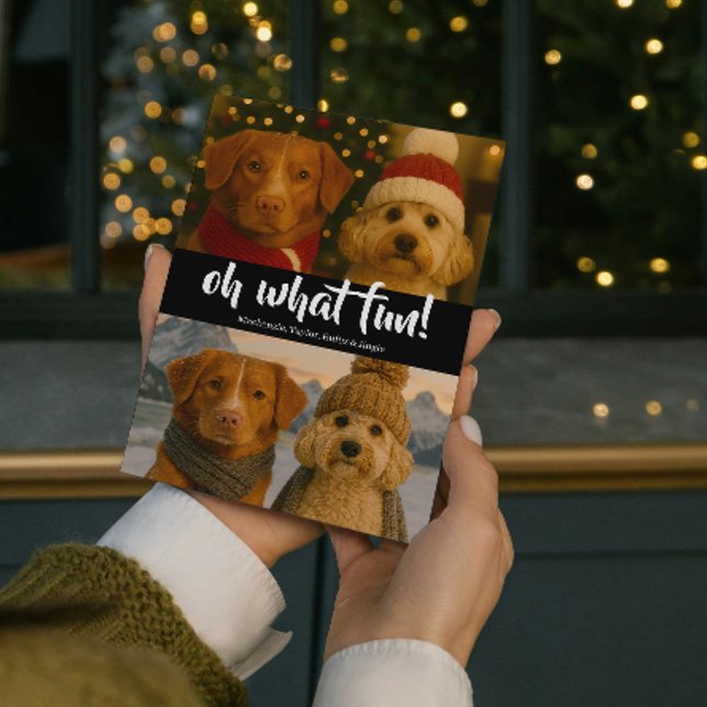 Oh What Fun Photo Christmas Personalised Holiday Card (Oh What Fun Photo Christmas Personalized Holiday Card by Ricaso. Christmas light pattern on back)