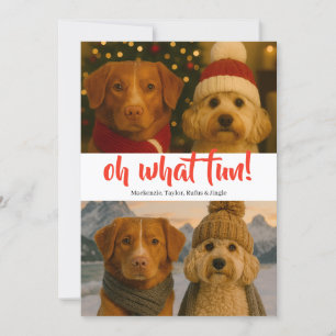 Oh What Fun Photo Christmas Personalized Holiday Card