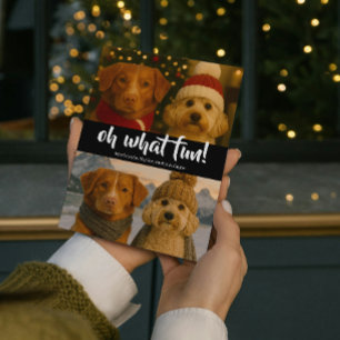 Oh What Fun Photo Christmas Personalized Holiday Card