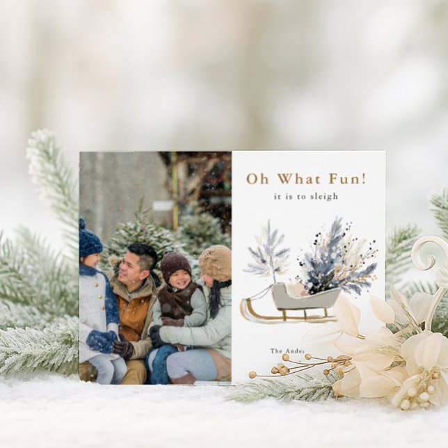 Oh What Fun Sleigh Ride Photo Christmas Holiday Postcard (Creator Uploaded)