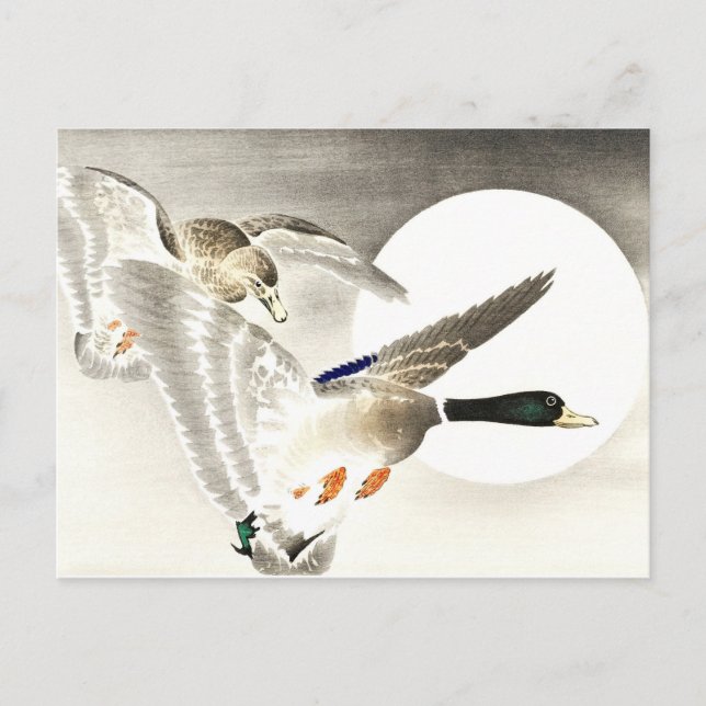 Ohara Koson Japanese Two Ducks At Full Moon Postcard (Front)