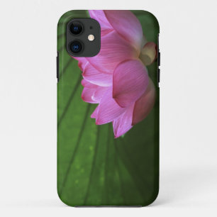 Ohga Lotus, Sankei-en Garden, Yokohama, Japan Case-Mate iPhone Case