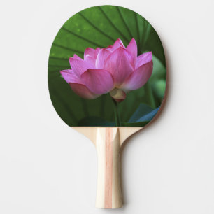 Ohga Lotus, Sankei-en Garden, Yokohama, Japan Ping Pong Paddle