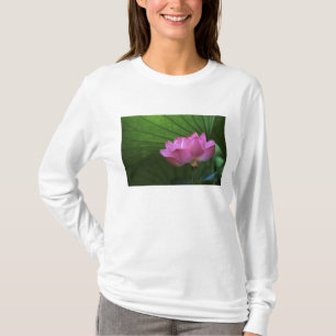 Ohga Lotus, Sankei-en Garden, Yokohama, Japan T-Shirt