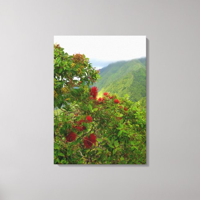 Ohia Lehua Blossoms Canvas Print (Front)