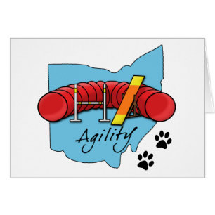 Ohio Agility