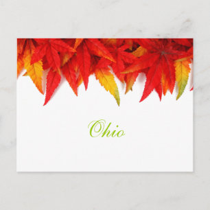 Ohio Autumn Leaves Postcard
