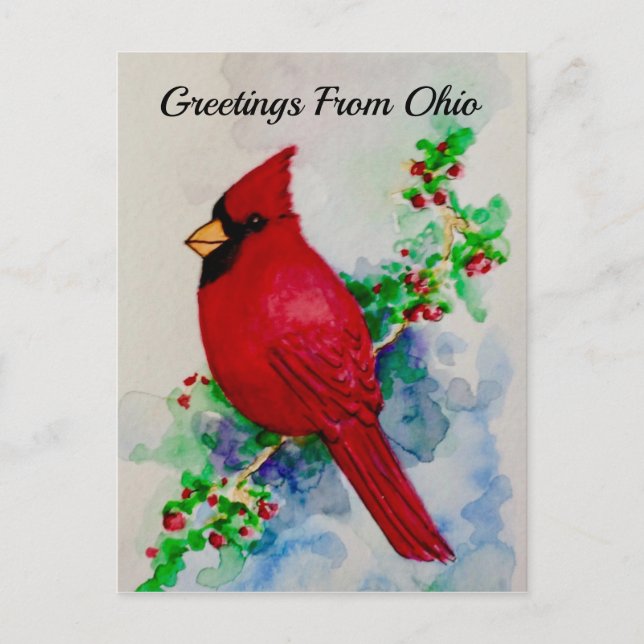 Ohio Cardinal State Bird Berries Watercolor Postcard (Front)