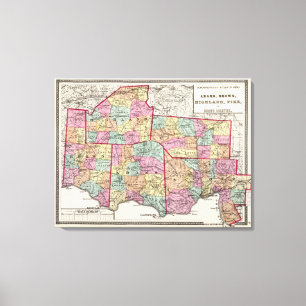 Ohio Counties Canvas Print