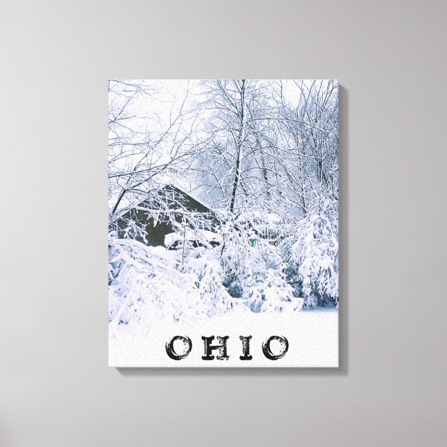 OHIO IN WINTER 2020 CANVAS PRINT (Front)
