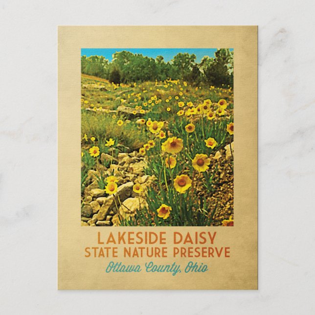 Ohio Lakeside Daisy Preserve Postcard (Front)