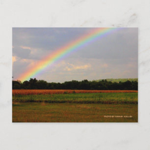Ohio Rainbow Postcard