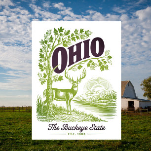 Ohio The Buckeye State Est. 1803 Travel Postcard
