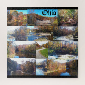 OHIO THE BUCKEYE STATE Puzzle