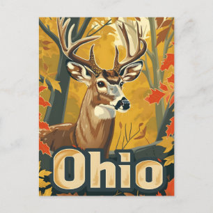Ohio White-tailed deer Postcard