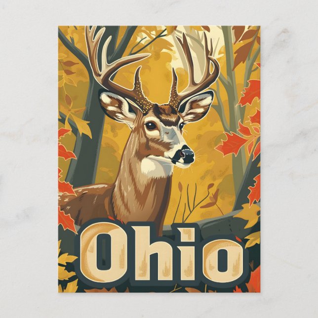 Ohio White-tailed deer Postcard (Front)