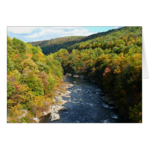 Ohiopyle River in Fall I Pennsylvania Autumn