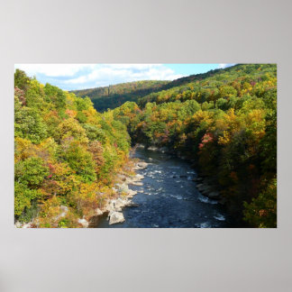 Ohiopyle River in Fall I Pennsylvania Autumn Poster