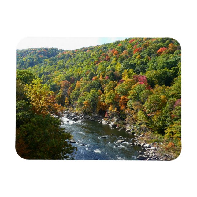 Ohiopyle River in Fall II Pennsylvania Autumn Magnet (Horizontal)