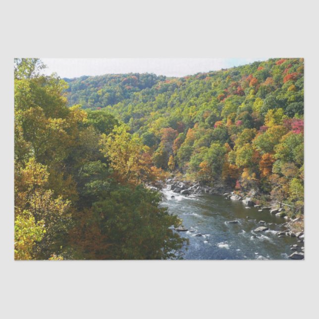 Ohiopyle River in Fall II Pennsylvania Autumn Tissue Paper (Front)