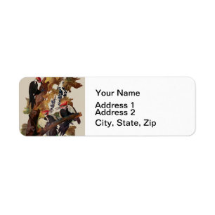 ohn James Audubon Pileated Woodpecker Bird Print