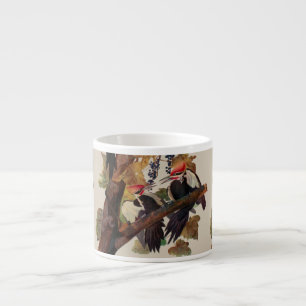ohn James Audubon Pileated Woodpecker Bird Print Espresso Cup