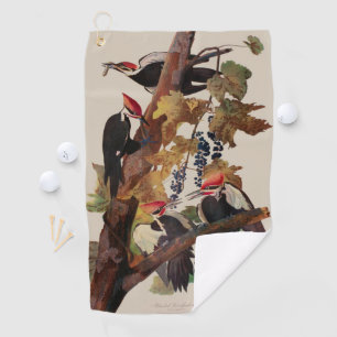 ohn James Audubon Pileated Woodpecker Bird Print Golf Towel