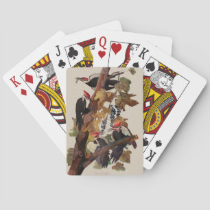 ohn James Audubon Pileated Woodpecker Bird Print Playing Cards