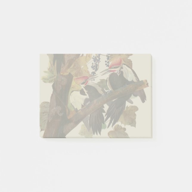ohn James Audubon Pileated Woodpecker Bird Print Post-it Notes (Front)