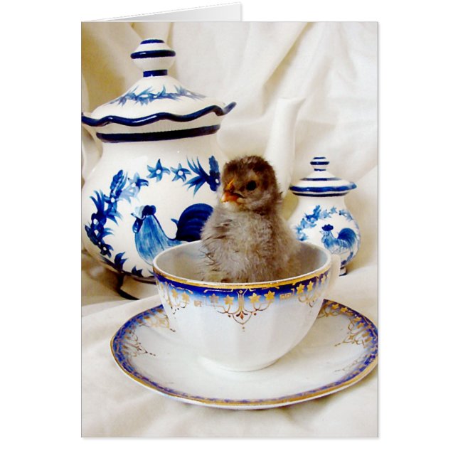 Oil Paint Effect Chick and Tea Cup In Studio (Front)