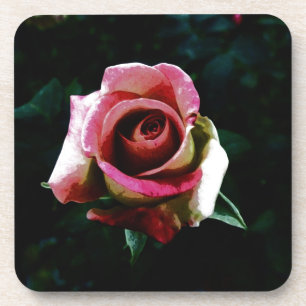 Oil painted red rose coaster