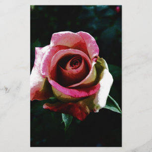Oil painted red rose stationery
