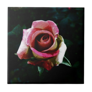 Oil Painted Rose Tile