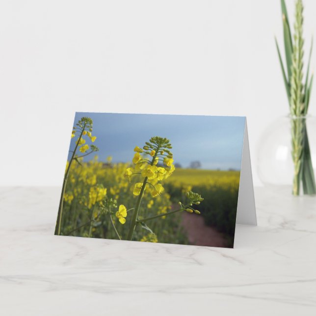 Oil seed rape flowers card (Front)