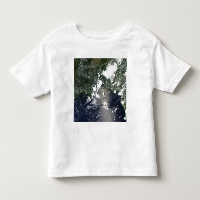 Oil spreads northeast toddler T-Shirt (Front)