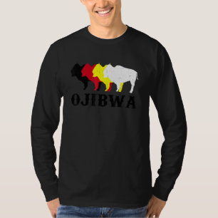 Ojibwa Anishinaabeg Ojibwe Native American Medicin T-Shirt