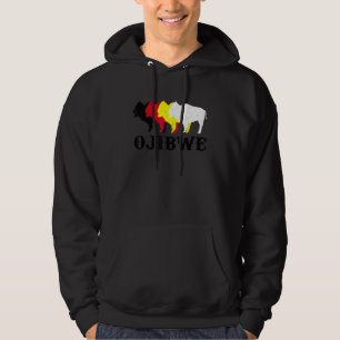 Ojibwe Anishinaabeg Ojibwa Native American Medicin Hoodie