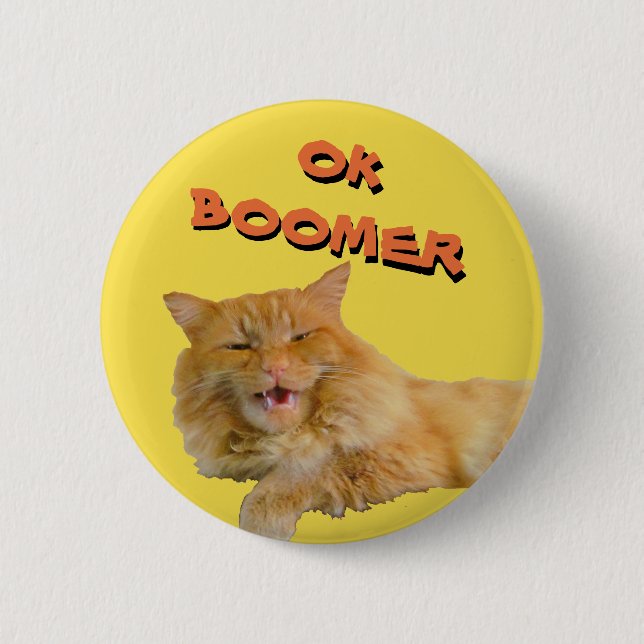 Ok Boomer Talking Cat Meme 6 Cm Round Badge (Front)