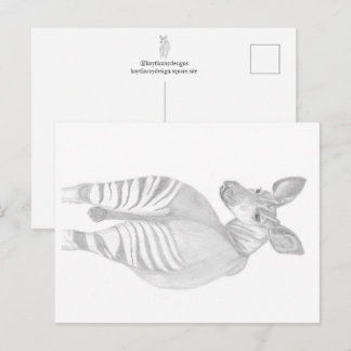 Okapi, African Wildlife Postcard