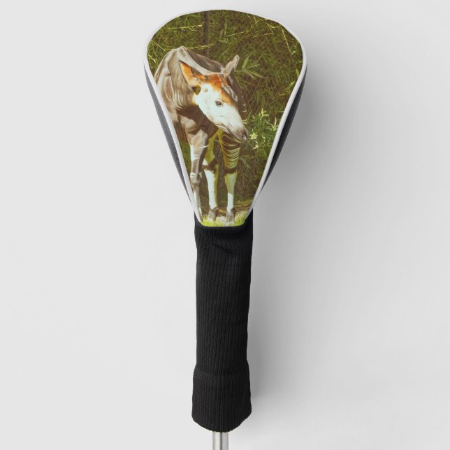 okapi golf head cover (Front)