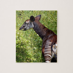 Okapi in the vegetation jigsaw puzzle