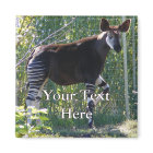 Okapi Magnet