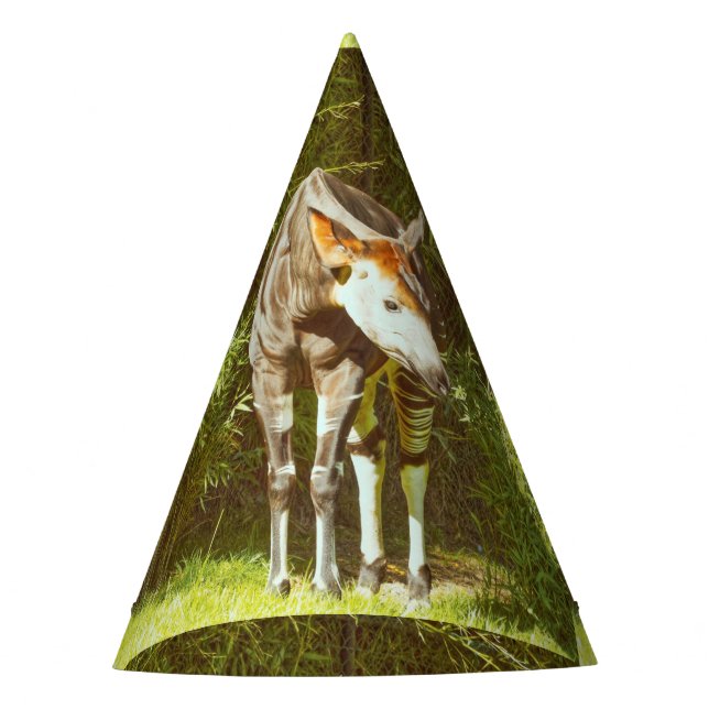 okapi party hat (Front)