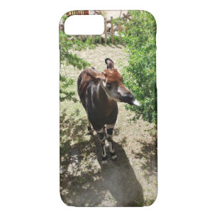 Okapi Phone Case (options available)