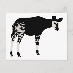 Okapi Postcard