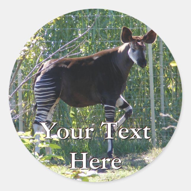 Okapi Stickers (Front)