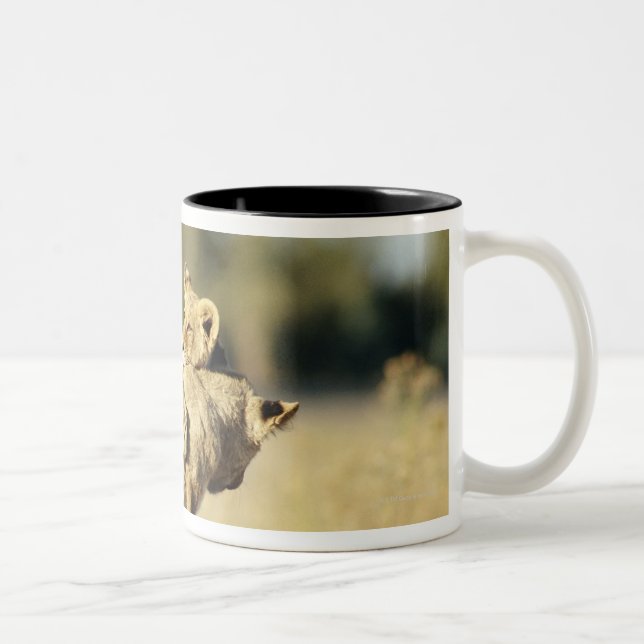 Okavango Delta, Botswana 2 Two-Tone Coffee Mug (Right)